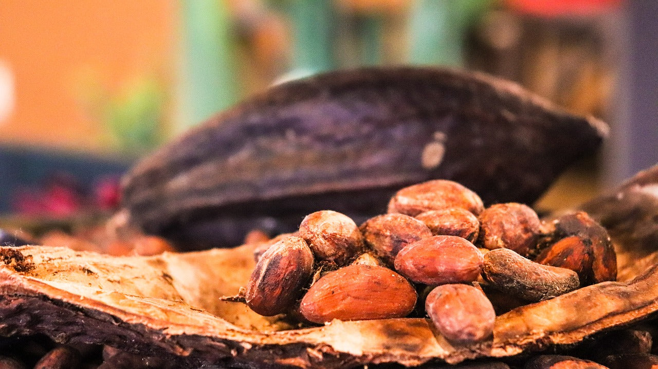 Cacao nuts on a dark surface with a blurred background

