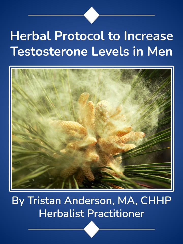PDF cover of Herbal Protocol to Increase Testosterone Levels in Men