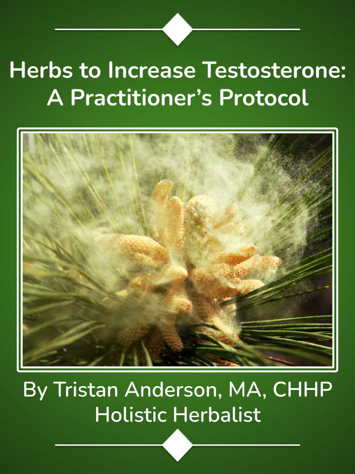 Herbs to Increase Testosterone: A Practitioner’s Protocol